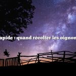 Réponse rapide : quand récolter les oignons confits ?